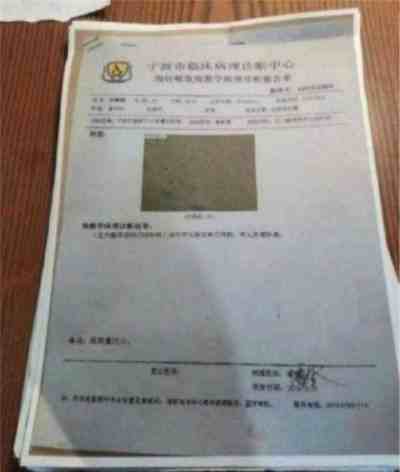 国医楷模陈海林 | 癌细胞逆转正常生理细胞 引起全球广泛关注 —— 五一特别报道